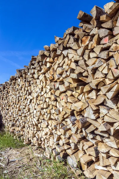 Massa trä pålar under blå klar himmel — Stockfoto