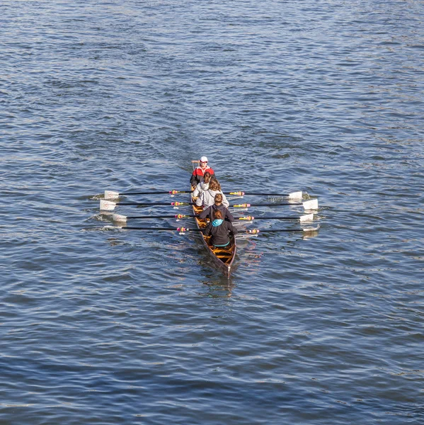 Equipo de barcos entrena en el río principal —  Fotos de Stock