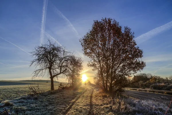 Sonnenaufgang im Winter mit Raureif auf den Feldern und blauem Himmel — Stockfoto