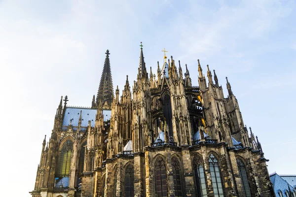 Dom in Köln — Stockfoto