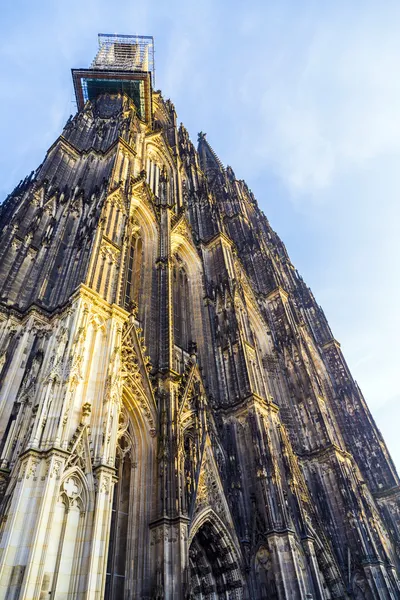 Dome in cologne — Stock Photo, Image