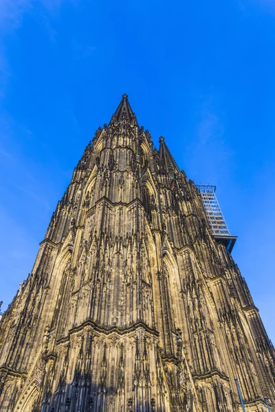 Beautiful dome in cologne — Stock Photo, Image