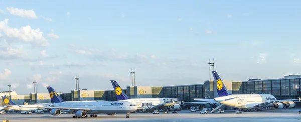 Lufthansa Aircraft i Terminal 1 i Frankfurt - Stock-foto