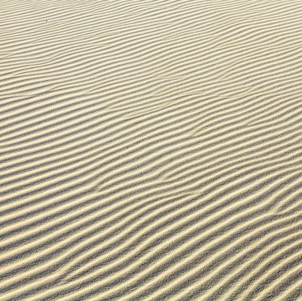 Sfondo di increspature di sabbia in spiaggia — Foto Stock