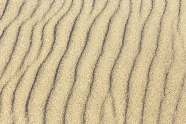 Madár számokat a homokban — Stock Fotó