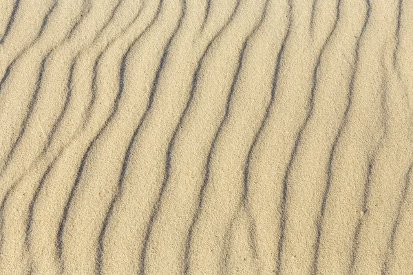 Madár számokat a homokban — Stock Fotó