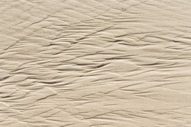 kumlu sahilde su formları muhteşem desenleri