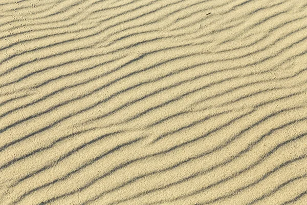 Pistes d'oiseaux sur le sable — Photo