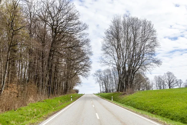 Small street with meadow and trees in spring — Stock Photo, Image