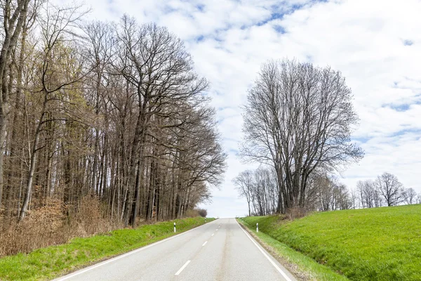 Small street with meadow and trees in spring — Stock Photo, Image