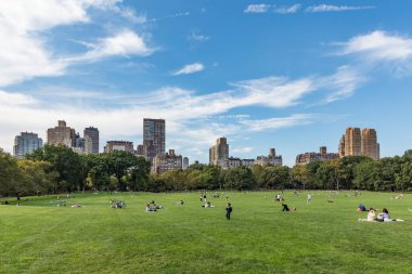 New York, ABD - 6 Ekim 2017: İnsanlar New York, ABD 'deki Sheep Meadow Central Park' taki ağaçların önünde dinleniyor.