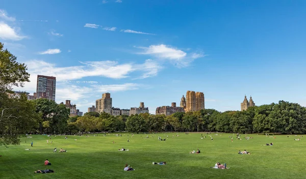 New York Usa Oktober 2017 Menschen Entspannen Sich Vor Bäumen — Stockfoto