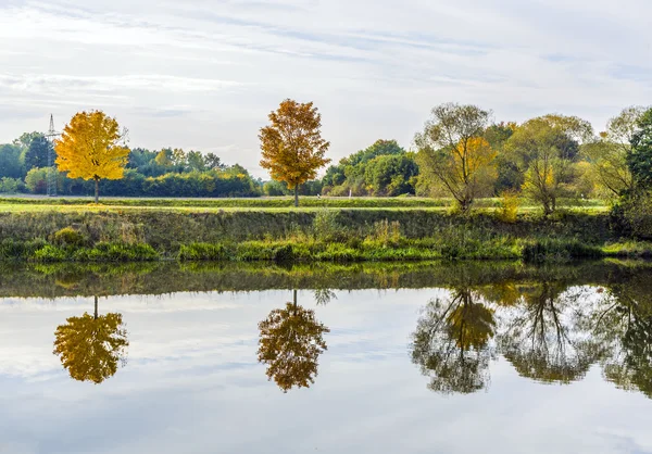 Reflet des arbres dans la rivière tauber — Photo