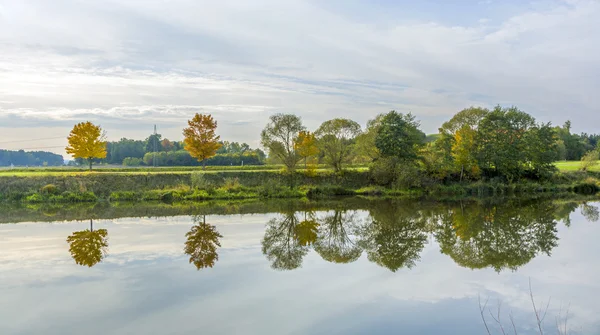 Reflektion av träd i floden tauber — Stockfoto