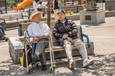 San Francisco, ABD - 24 Temmuz 2008: Çinli erkekler Çin Mahallesi, San Francisco 'da bir parkta dinleniyorlar. San Francisco Çin Mahallesi Asya 'nın dışındaki en büyük Çin Mahallesi..
