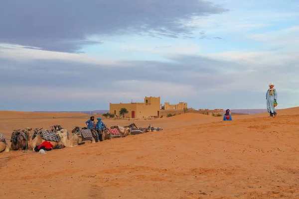 Takoumit Marocco Novembre 2016 Beduini Aspettano Turisti Offrire Giro Cammello — Foto Stock