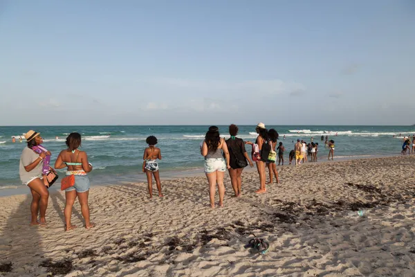 Miami Usa Srpna 2014 Lidé Užívají Slavného Západu Slunce Jižní — Stock fotografie