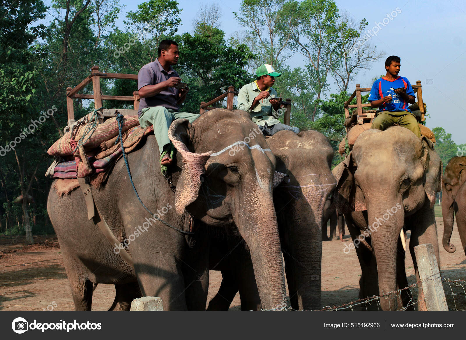 Chitwan Nepal Março 2014 Mahuts Safári Elefantes Parque Nacional Chitwan —  Foto editorial © Hackman #515492966, image size:1600x1167