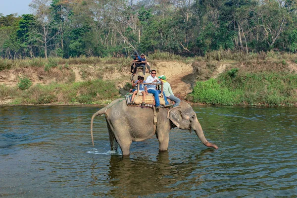 Chitwan Nepal Marzo 2014 Personas Safari Elefantes Parque Nacional Chitwan — Foto de Stock
