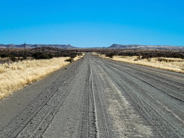 Kgalagadi Sınır Aşan Parkı 'ndaki sokak öğle sıcağında dinleniyor