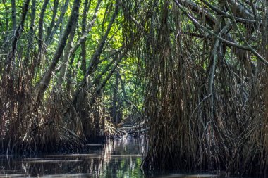 Sri Lanka 'da bir tekne gezisinde.
