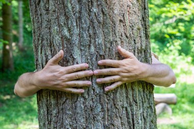 Yaşlı bir ağacı süslemek iyi bir his veriyor.