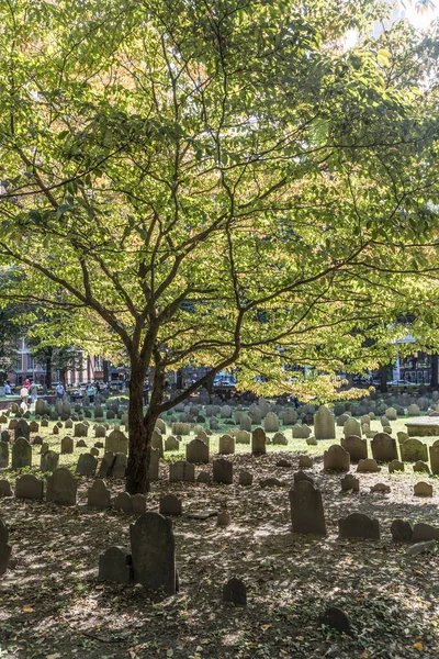 Boston Usa Sep 2017 Rader Gravstenar Ett Träd Vid Granary — Stockfoto