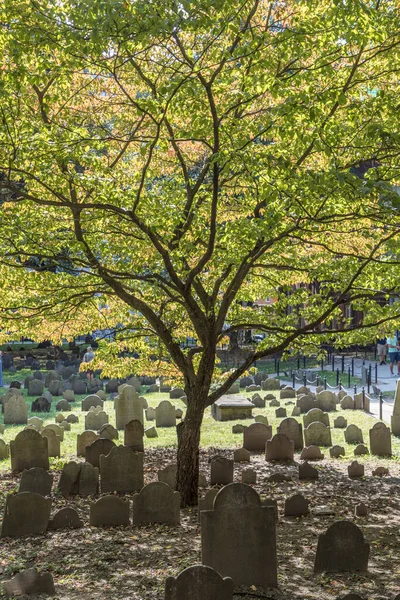 Boston Usa Wrz 2017 Wiersze Nagrobków Pod Drzewem Cmentarzu Spichlerskim — Zdjęcie stockowe