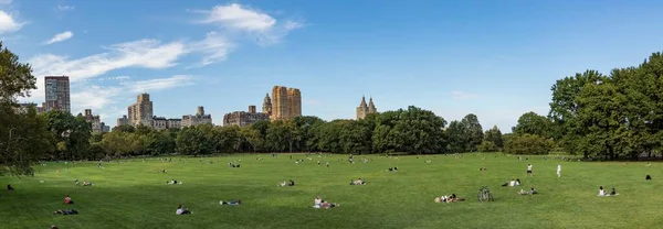 Нью Йорк Сша Октября 2017 Года Люди Отдыхают Перед Деревьями — стоковое фото