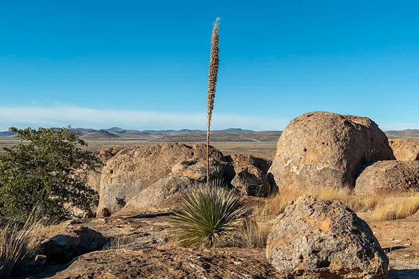 Paysage Pittoresque Ville Rocks State Park Nouveau Mexique États Unis — Photo