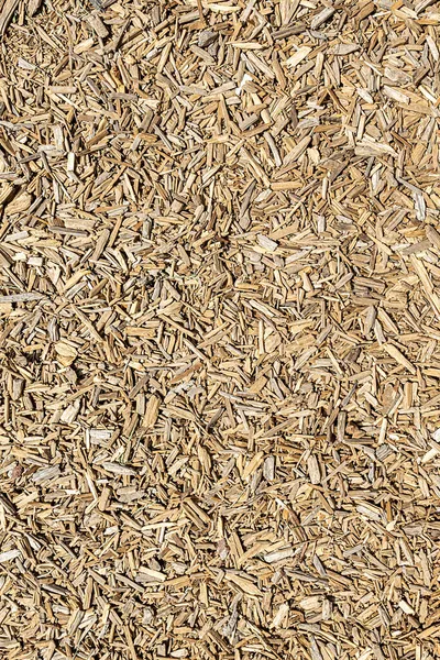 Wood Shavings Give Harmonic Nature Background — Stock Photo, Image