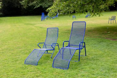 Yeşil bir çayırdaki boş mavi çıngırak Corona zamanlarındaki yalnızlığı simgeliyor.