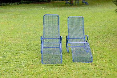 Yeşil bir çayırdaki boş mavi çıngırak Corona zamanlarındaki yalnızlığı simgeliyor.