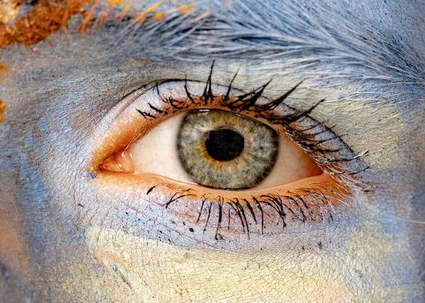Detail Mata Dengan Cat Biru Penuh Warna Wajah — Stok Foto