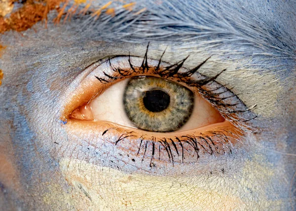 Detail Van Het Oog Blauw Geschilderd Kleurrijk Gezicht — Stockfoto