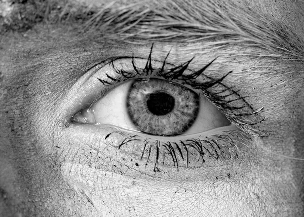 Gözün Mavi Renkli Yüzüyle Ayrıntısı — Stok fotoğraf