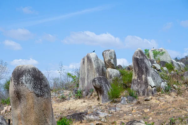 Catinga Paesaggio Con Grandi Rocce Nella Regione Cabrera Brasile — Foto Stock