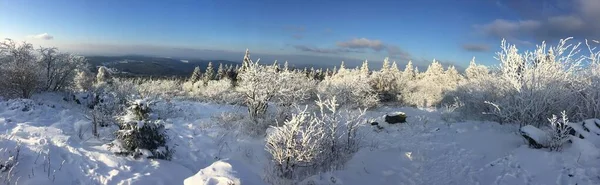 Paesaggio Invernale Con Roccia Brunhildis Feldberg Sulla Neve — Foto Stock