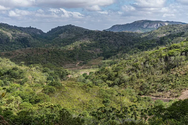 Γραφικό Τροπικό Δάσος Στο Macuca Στη Βραζιλία Κάτω Από Γαλάζιο — Φωτογραφία Αρχείου