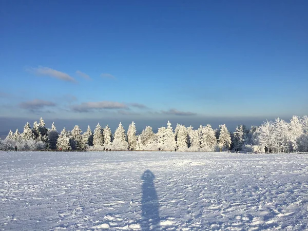 Vinterlandskap Med Brunhildis Rock Feldberg Snö — Stockfoto