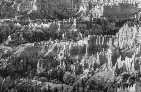 Hermoso Paisaje Bryce Canyon Con Magnífica Formación Piedra Como Anfiteatro —  Fotos de Stock