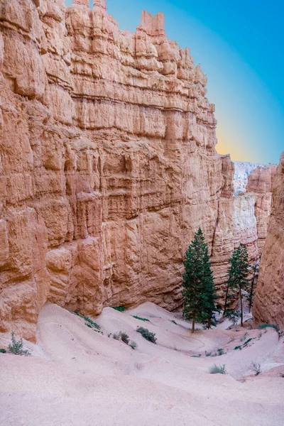 Prachtige Landschap Bryce Canyon Met Prachtige Steenvorming Wandelen Pad Omgeving — Stockfoto