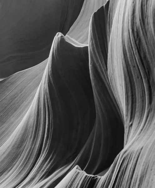 Gniazda Kanion Antylopy Arizona Stronie — Zdjęcie stockowe