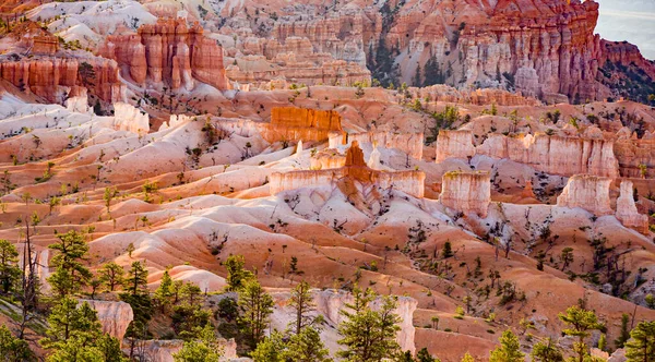 Beautiful Landscape Bryce Canyon Magnificent Stone Formation Old Tree Sandstone — Stock Photo, Image