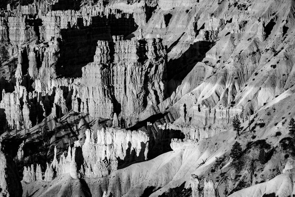 Wunderschöne Landschaft Bryce Canyon Mit Herrlicher Steinformation Und Altem Baum — Stockfoto