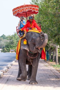 Ayutthaya, Tayland - 24 Aralık 2009: Mahout filini turistlerle birlikte Ayutthaya tapınak bölgesinde sürüyor.