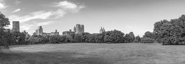 美国纽约州中央公园有天际线的羊草地 — 图库照片