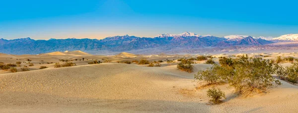 Όμορφα Διαμερίσματα Mesquite Στην Έρημο Κοιλάδα Του Θανάτου Στο Φως — Φωτογραφία Αρχείου