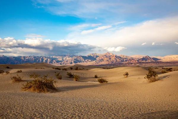 Schöne Mesquite Wohnungen Der Wüste Death Valley Sonnenuntergang Usa — Stockfoto