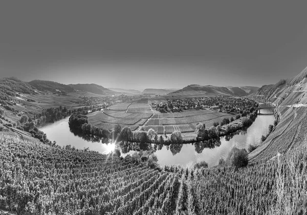 Malebná Smyčka Řeky Moselle Leiwenu Trittenheim Německu — Stock fotografie